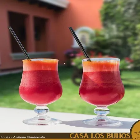 Hotel Casa Los Buhos